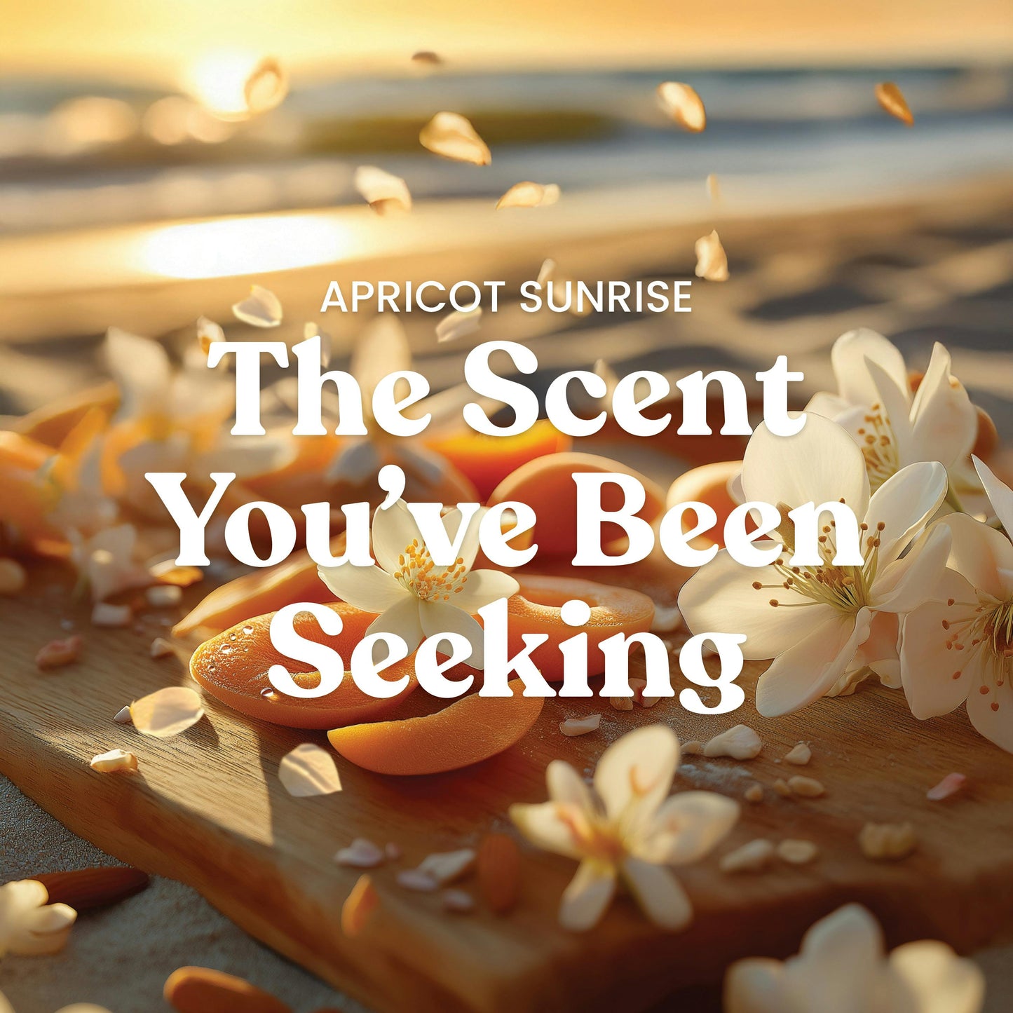 Apricot Sunrise ScentPlug® Refill