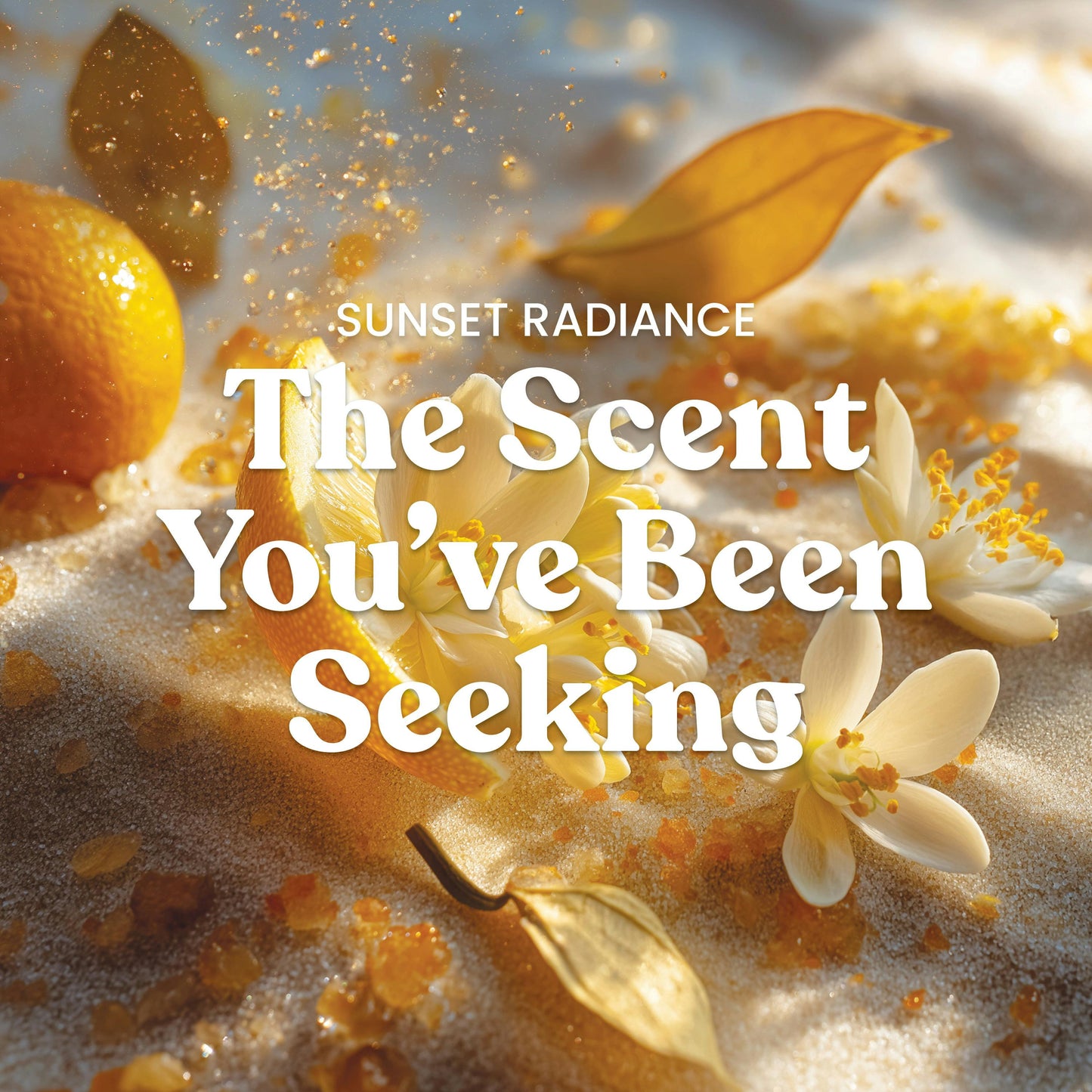 Sunset Radiance ScentPlug® Refill