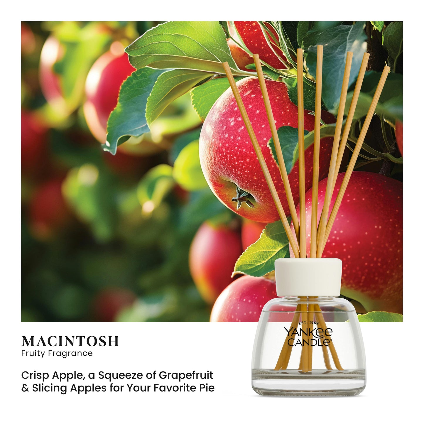 Macintosh Reed Diffuser Kit