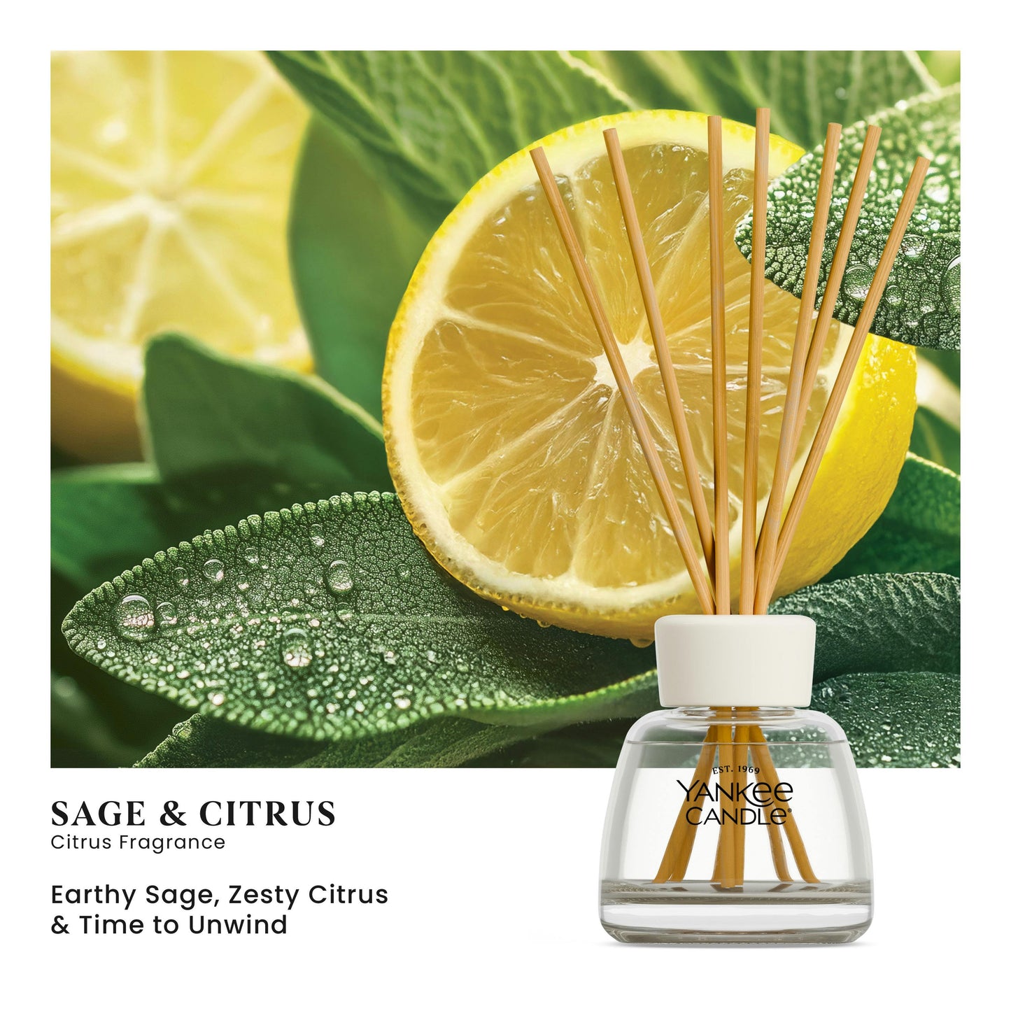 Sage & Citrus Reed Diffuser Kit