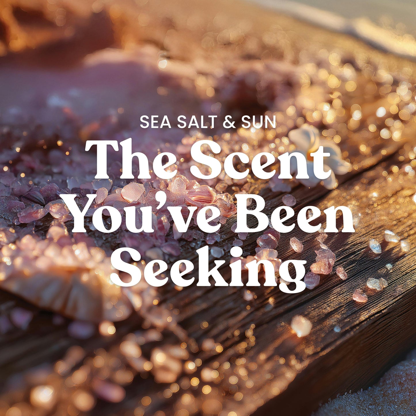 Sea Salt & Sun ScentPlug® Refill