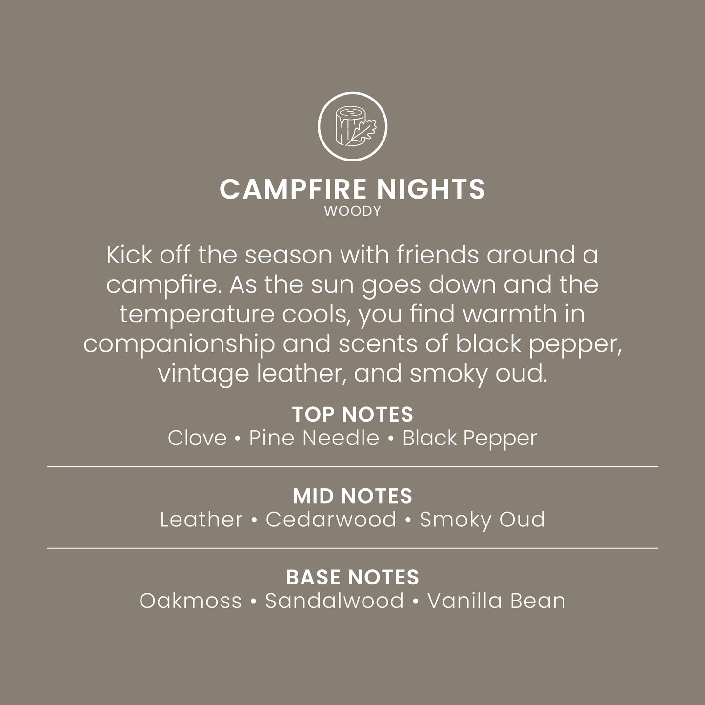 Campfire Nights