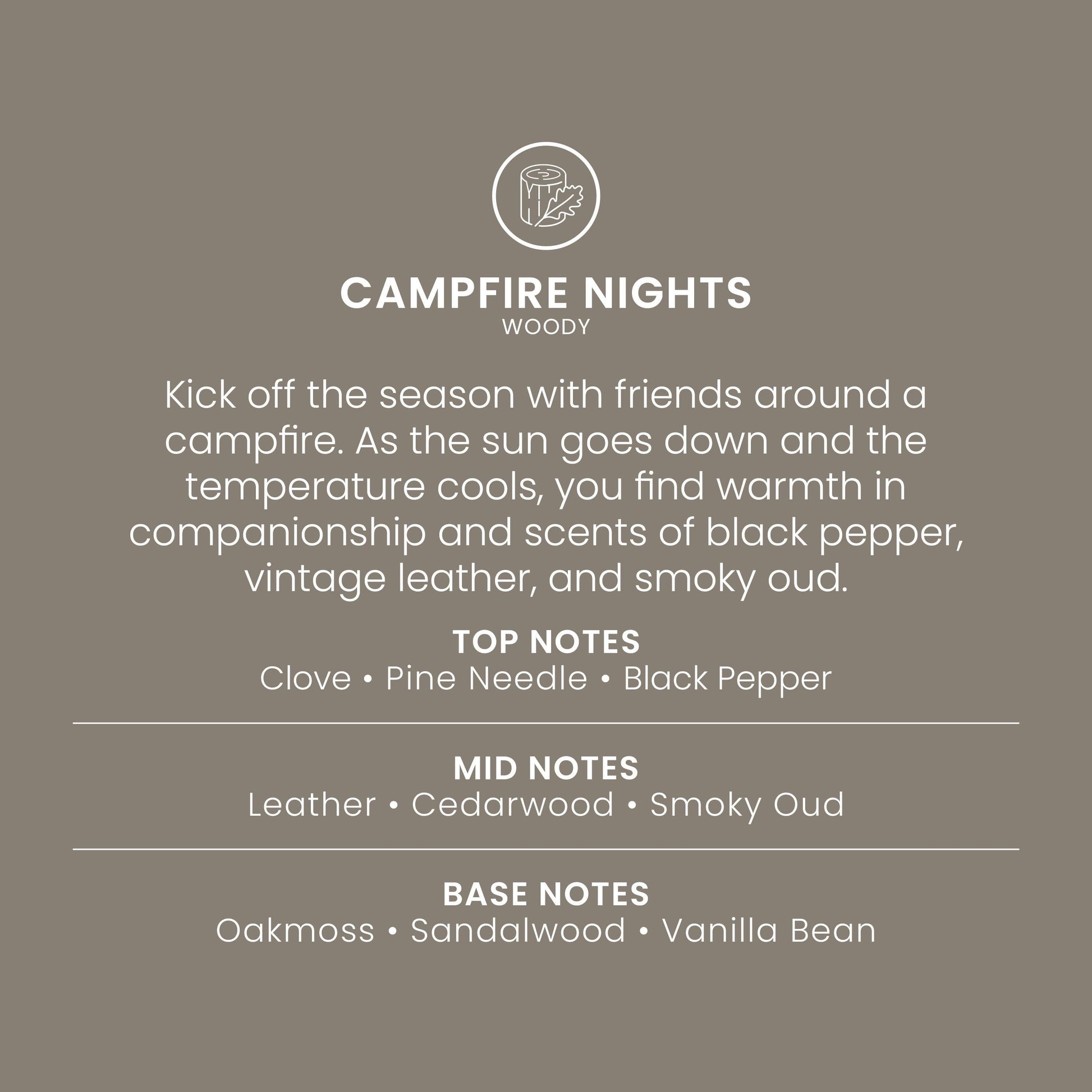 Campfire Nights