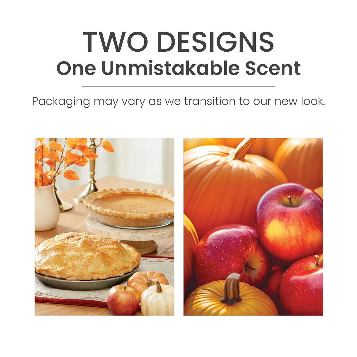 Apple Pumpkin ScentPlug® Refill