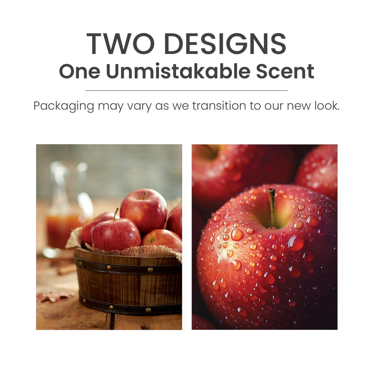 Ciderhouse ScentPlug® Refill